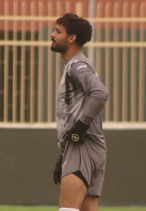 أحمد شوقي